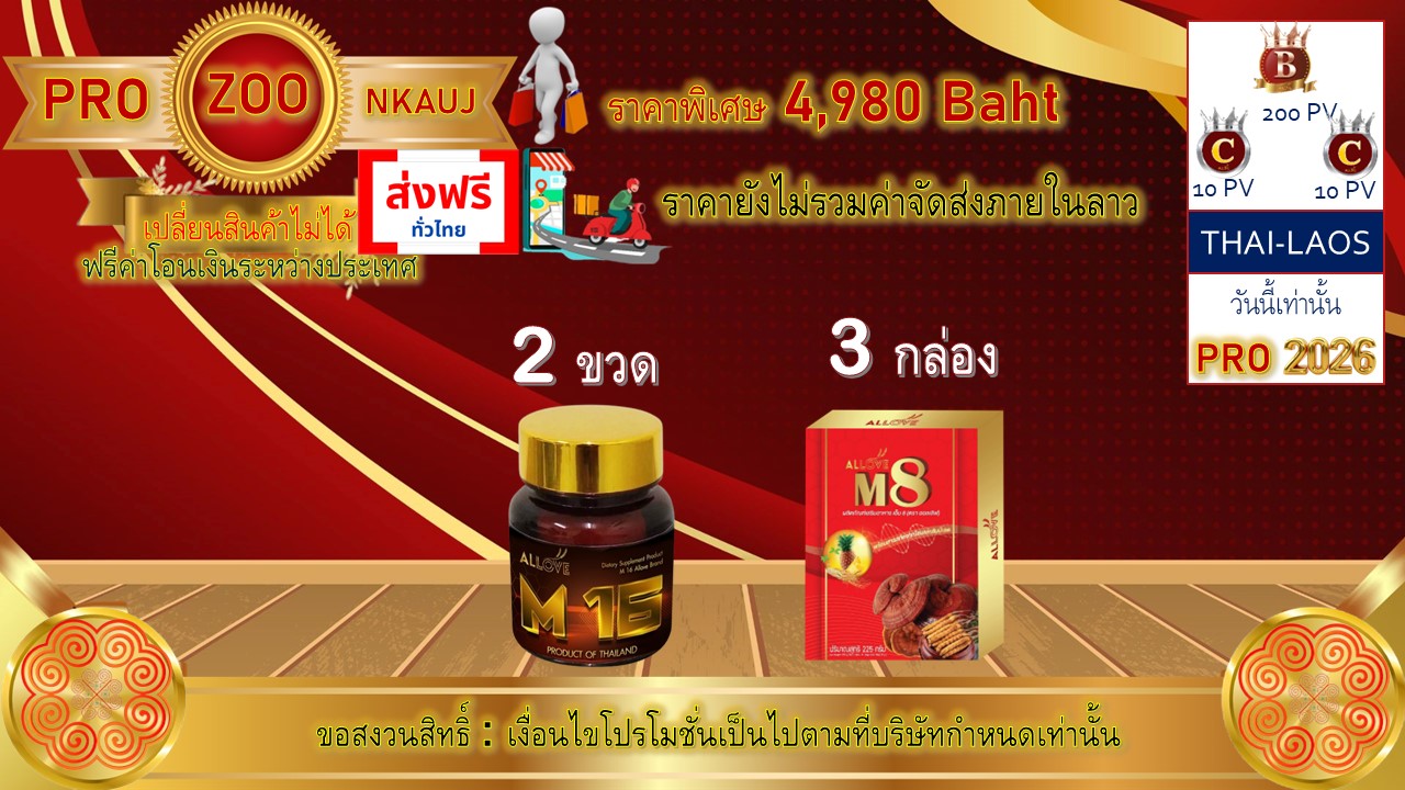 โปรโมชั่น ลาว 10